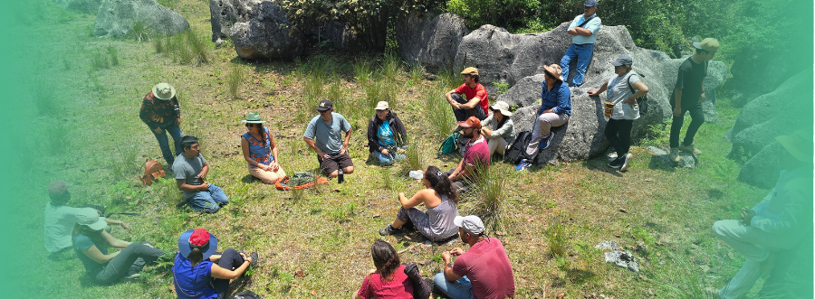 portada web malinali (2)