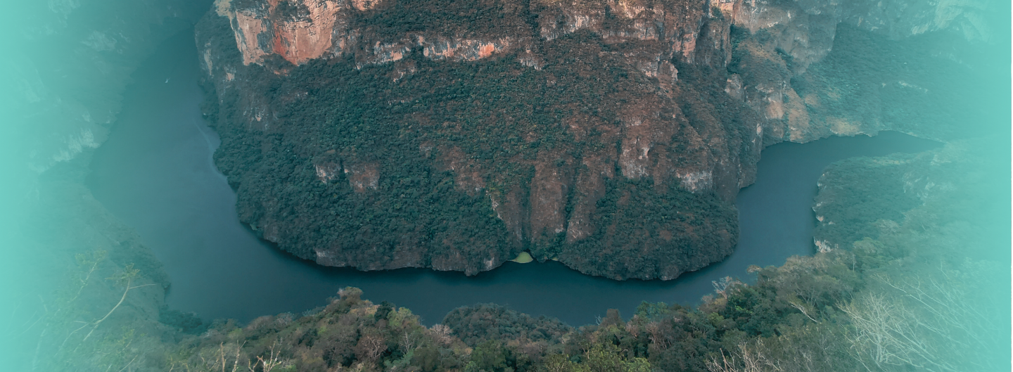 portadas web malinali